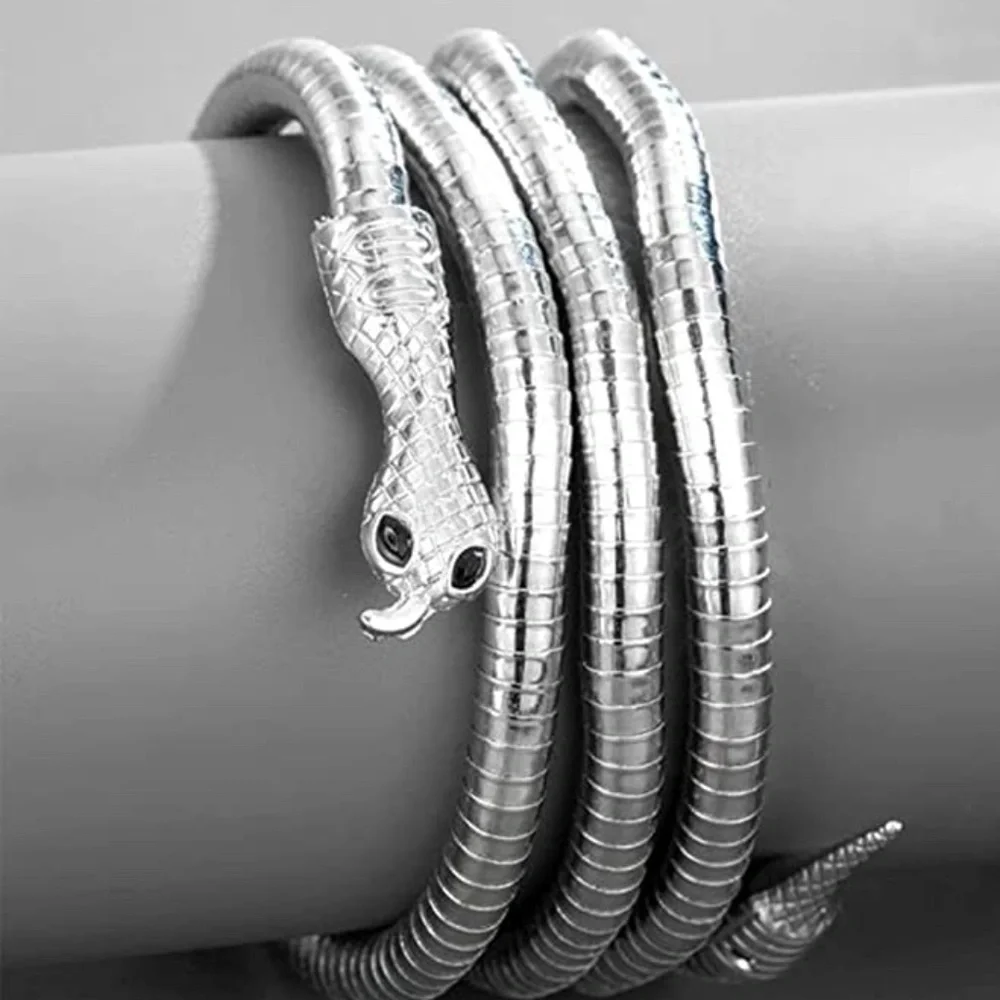 Silver Plated Snake Necklace/Bracelet